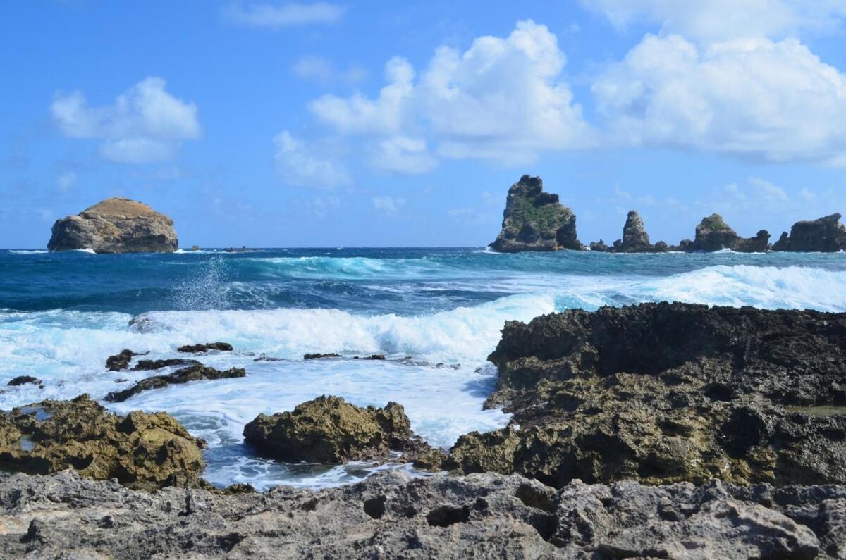 Vanillier - Vue - Piscine - V Ciel&mer Saint-Francois (Grande-Terre)